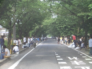 Near the cherry blossom trees in front of the main proofing gate