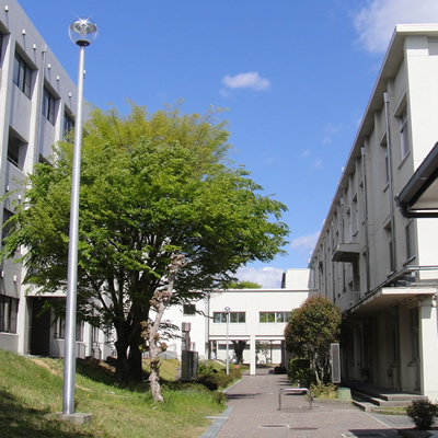 学校の沿革