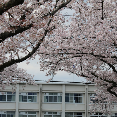 本科学生募集案内