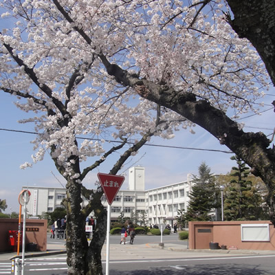 就職・進学